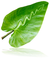 ECO